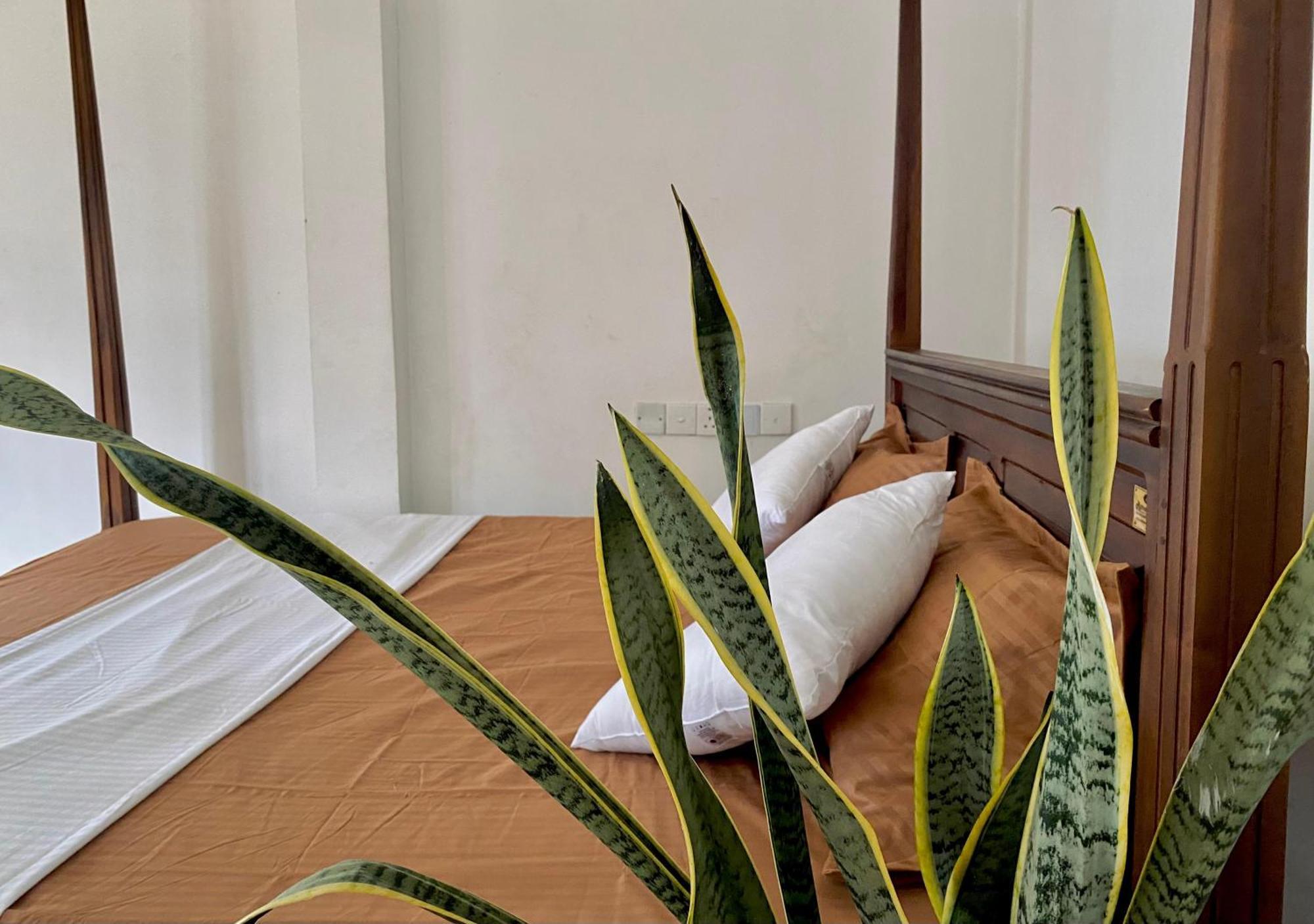 Sasmika Villa Surf And Yoga Hostel ウェリガマ エクステリア 写真