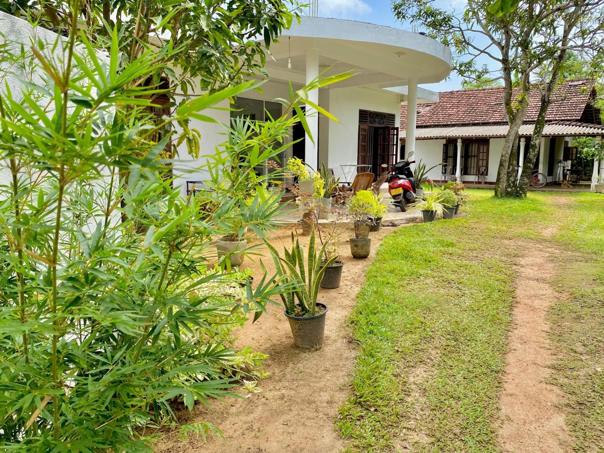 Sasmika Villa Surf And Yoga Hostel ウェリガマ エクステリア 写真