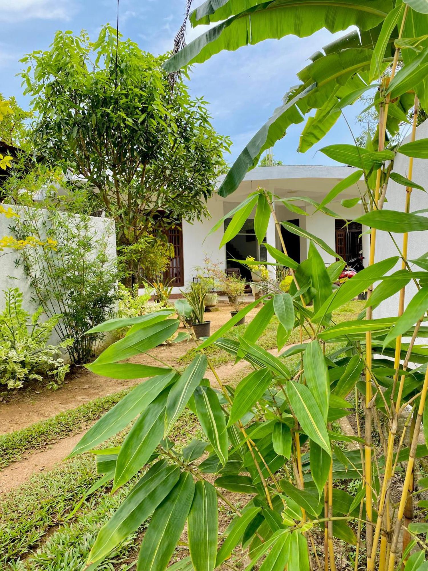 Sasmika Villa Surf And Yoga Hostel ウェリガマ エクステリア 写真